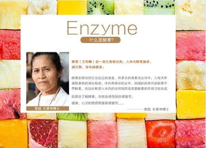 如何尋找耐高溫雙層高硼硅玻璃酵素罐及眼鏡銷(xiāo)售渠道的供應(yīng)商